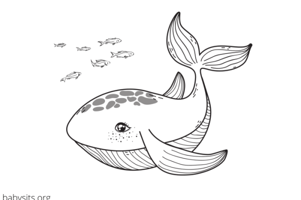 Coloring pages for girls sea animals