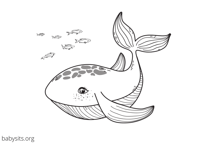 Coloring pages for girls sea animals