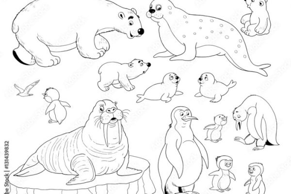 Printable arctic animals coloring pages