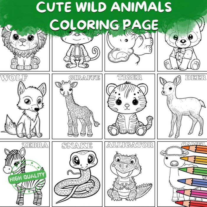 Coloring book wild animals