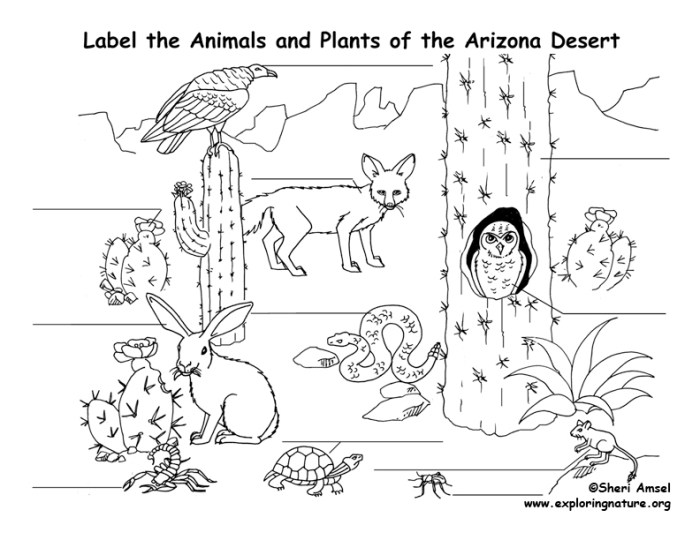 Animal and plant coloring worksheet