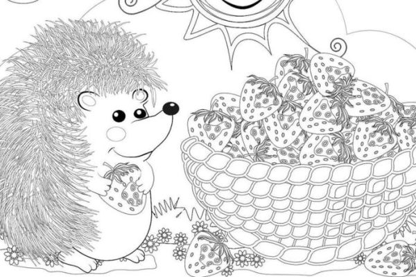 Animal coloring pages for teen girls