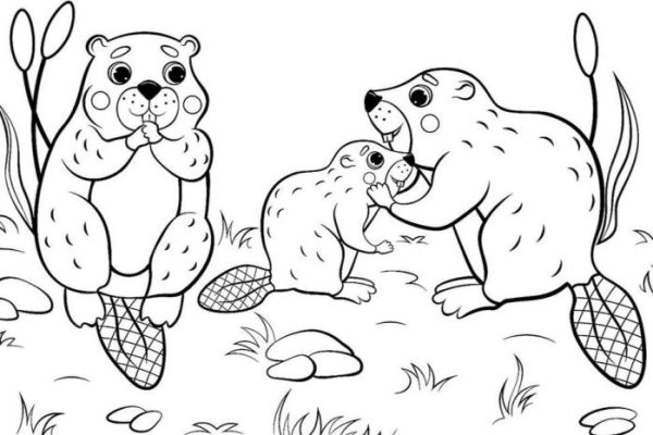 Coloring page animal printables