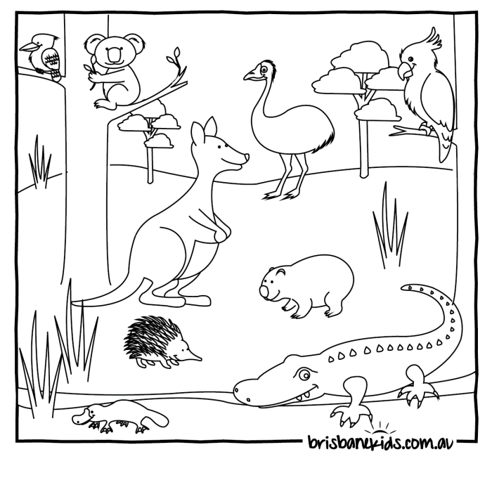 Animals of australia coloring pages