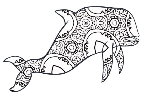 Free printable coloring pages animal profiles