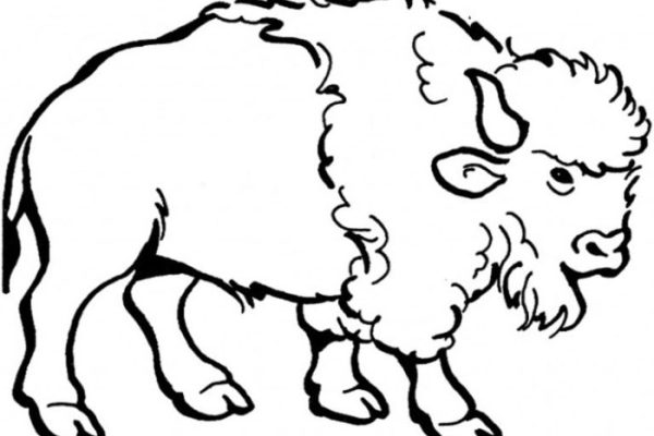 Animal grassland coloring pages