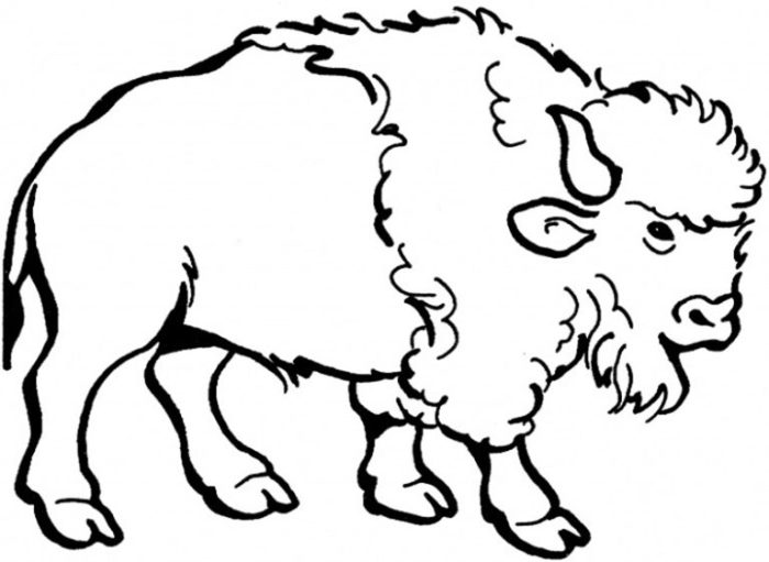 Animal grassland coloring pages