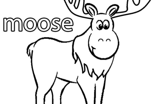 Cute animal moose coloring pages