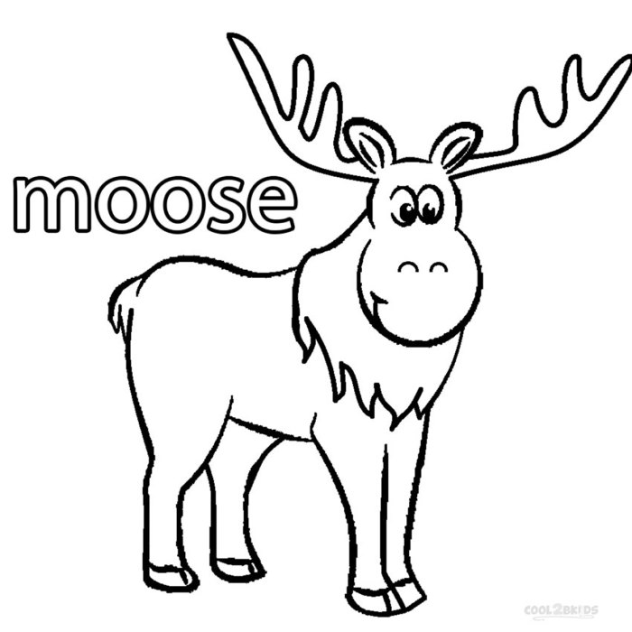 Cute animal moose coloring pages