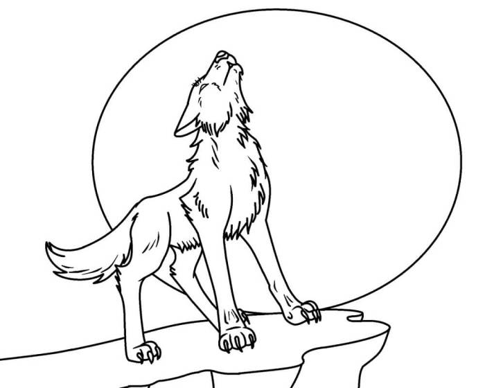 Wolf animal coloring pages