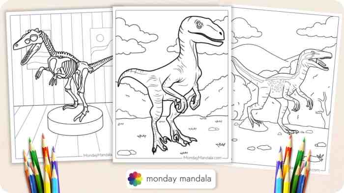 Animated raptor dinosaur coloring pages