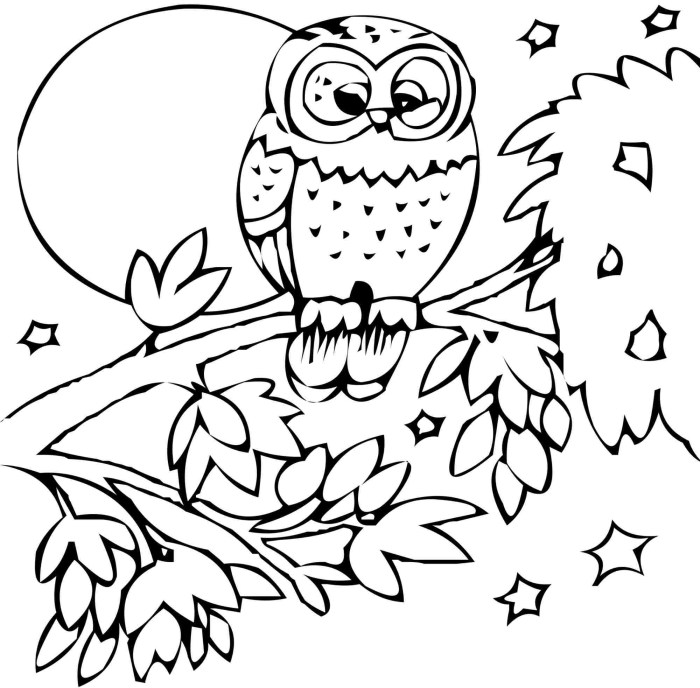 Animal alphabet coloring pages a z