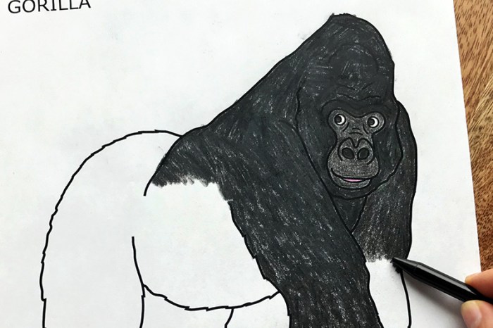 Animal face coloring simple gorilla