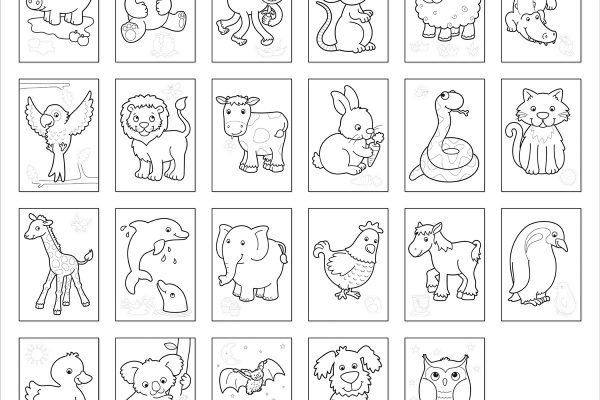 Animal coloring by number