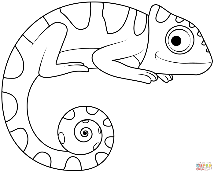 Animal coloring pages cameleon