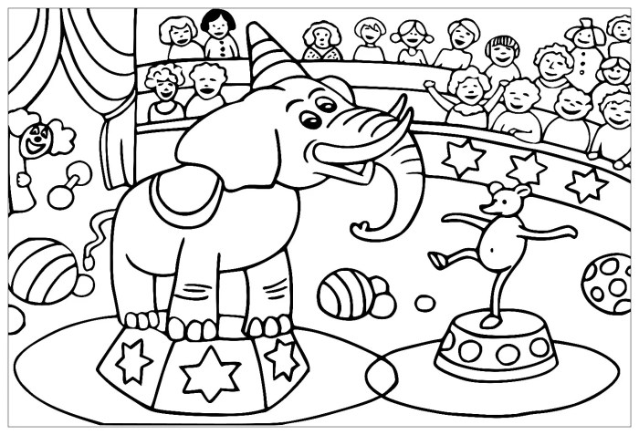 Animal circus face coloring book