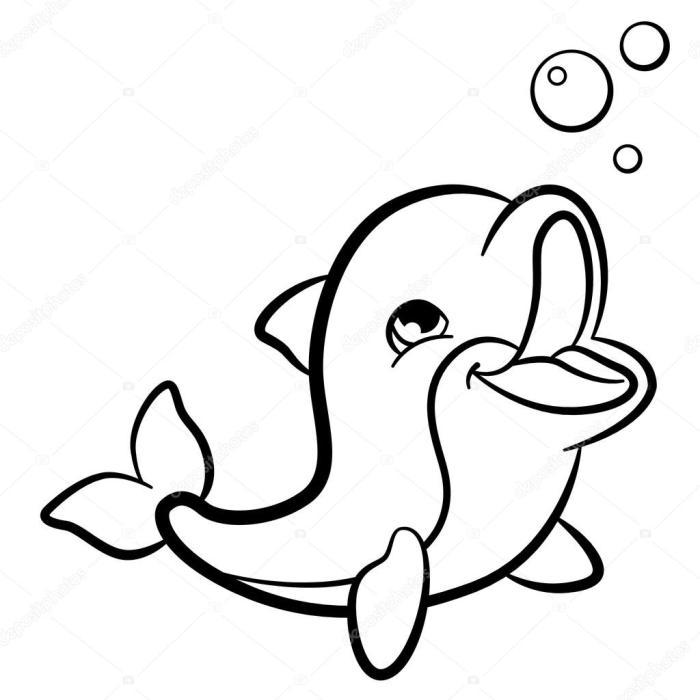 Animal faces coloring pages dolphin