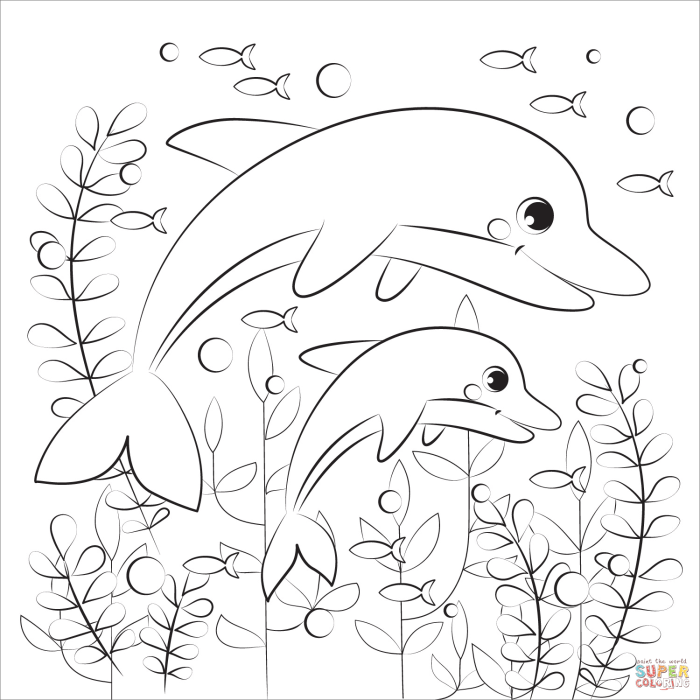 Animal faces coloring pages dolphin