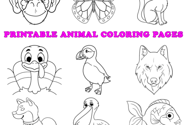 Coloring animals for preschool