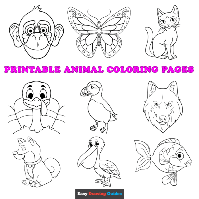 Coloring animals for preschool