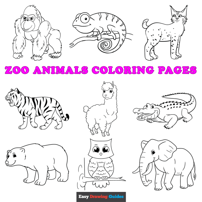 Animal coloring pages a to z