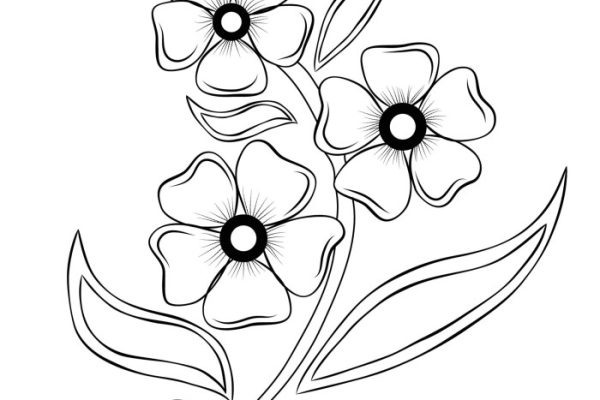 Animated flower outlines for coloring