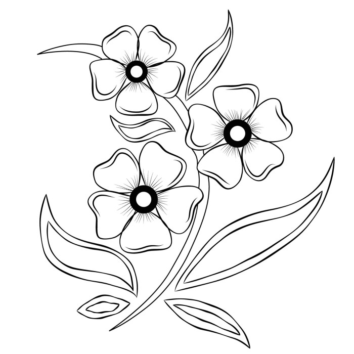 Animated flower outlines for coloring