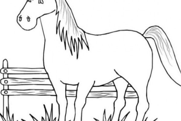 Farm animals coloring for kids