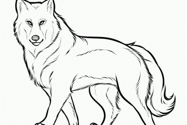 Animated wolves coloring pages