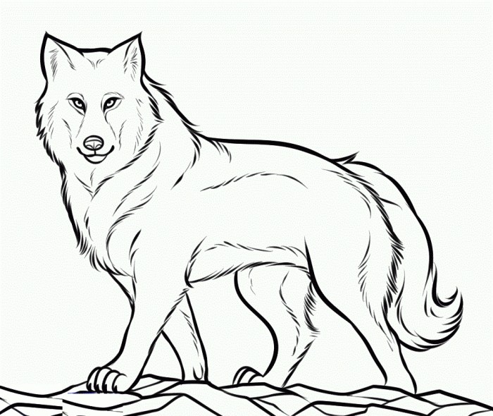 Animated wolves coloring pages