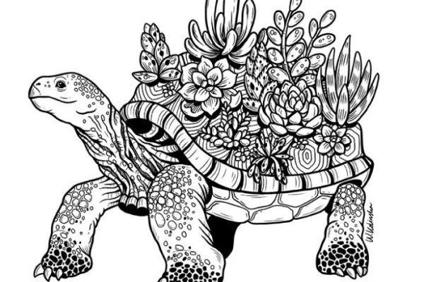 Nature animals coloring pages