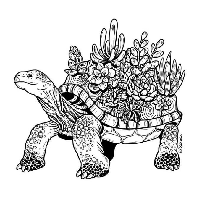 Nature animals coloring pages