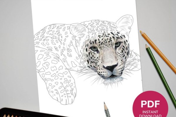 Coloring pictures of realistic animals