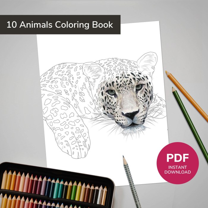 Coloring pictures of realistic animals