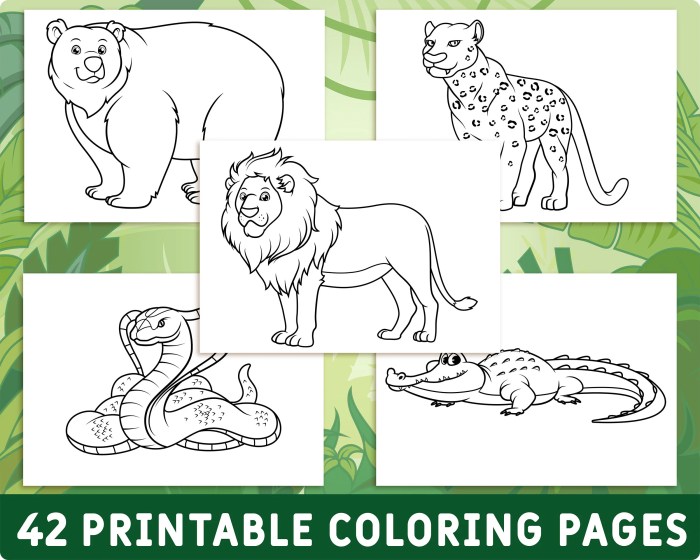 Coloring book wild animals