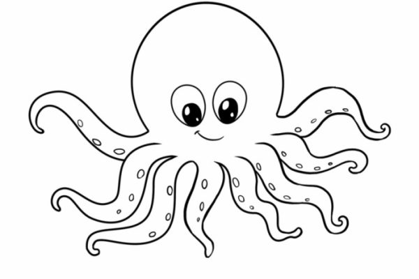 Octopus coloring pages vector royalty