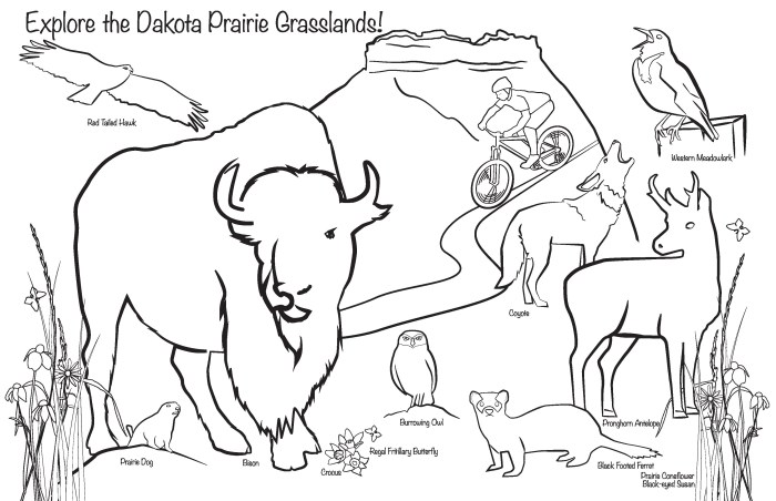 Animal grassland coloring pages