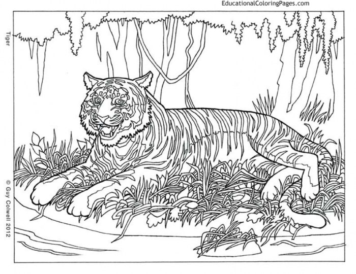 Animal coloring pages hard for kids