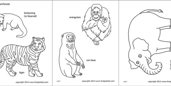 Free coloring sheets of asia's animals