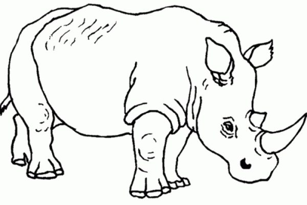 Coloring sheets of safari animals