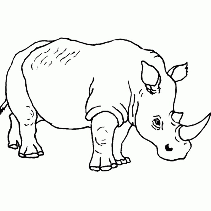 Coloring sheets of safari animals