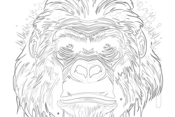 Animal face coloring simple gorilla