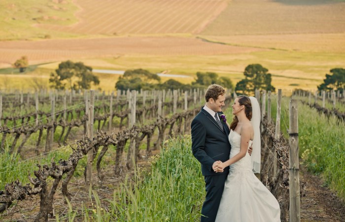 Vineyard wedding guest dress