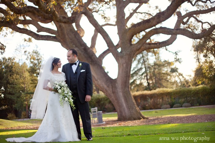 Weddings displaying