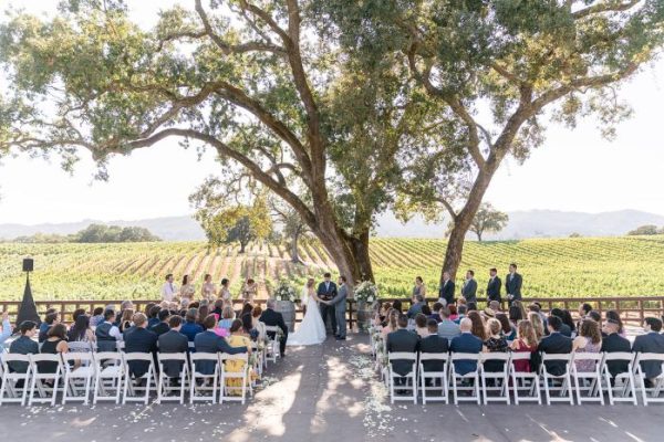 Vineyard wedding guest dress