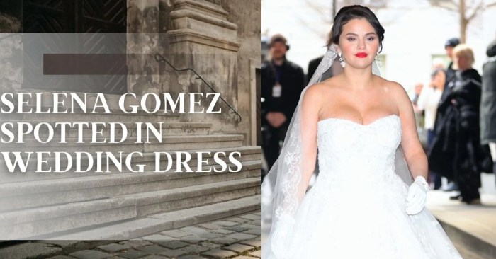 Selena gomez wedding dress